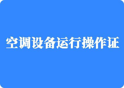 黄片儿入口制冷工证