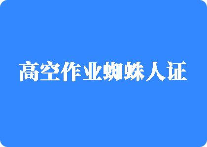 干我逼吧高空作业蜘蛛人证